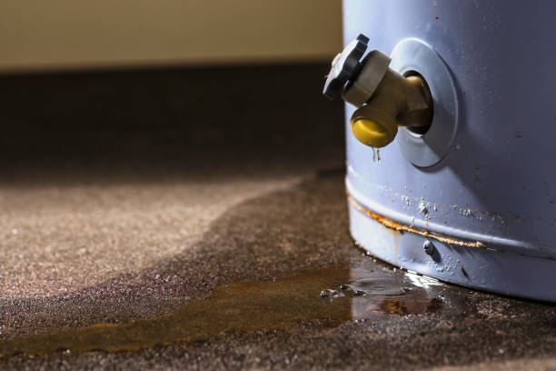 Best Water damage contractors near me  in Murraysville, NC