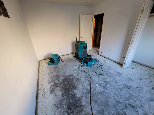 Water damage restoration insurance claims in Murraysville, NC