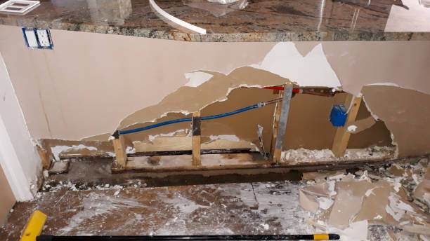 Best Water damage restoration company  in Murraysville, NC