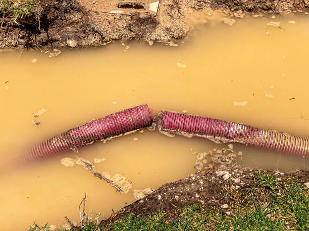 Best Water damage mitigation services  in Murraysville, NC