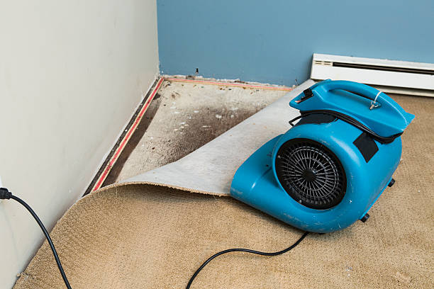 Best Water damage restoration insurance claims  in Murraysville, NC